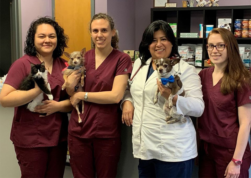 Dog and Cat Veterinary Care, Bergenfield